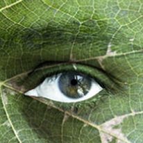 Kosmetikal offre consulenza, assistenza tecnica e certificazione biologica e vegana per la cosmesi naturale